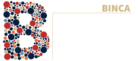 Campus virtual del Bur&oacute; Internacional de  Neurociencia Cognitiva Aplicada, BINCA