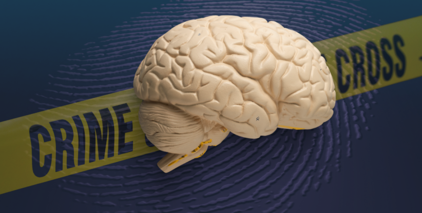 Diplomado en Neurociencia Cognitiva Aplicada al Derecho, la Justicia y el Ámbito Forense